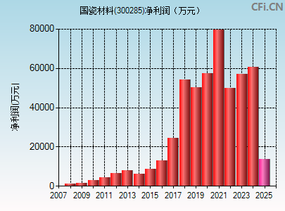 300285财务指标图