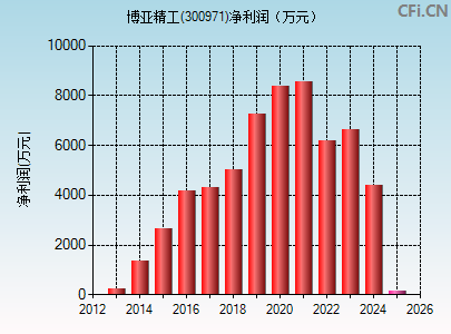 300971财务指标图