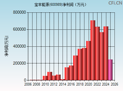 600989财务指标图