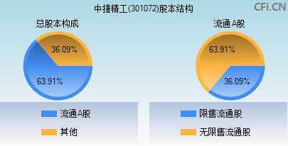 301072股本结构图