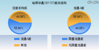 301137股本结构图