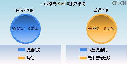 603019股本结构图