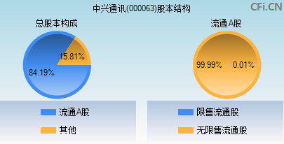 000063股本结构图