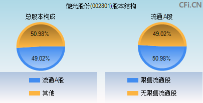 002801股本结构图