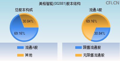 002881股本结构图