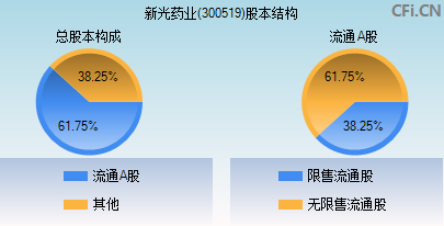 300519股本结构图