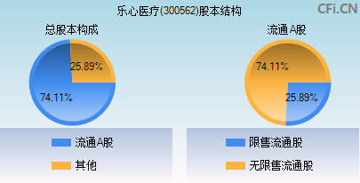 300562股本结构图