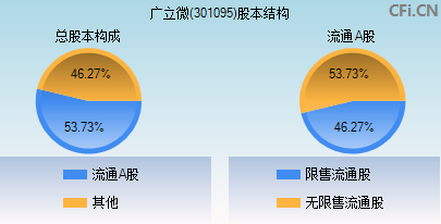 301095股本结构图