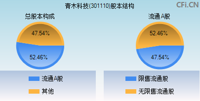 301110股本结构图