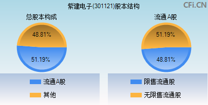 301121股本结构图