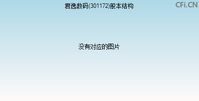 301172股本结构图