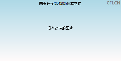 301203股本结构图