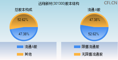 301300股本结构图