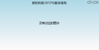 301376股本结构图