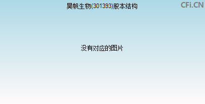 301393股本结构图