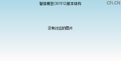 301512股本结构图