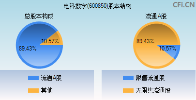 600850股本结构图