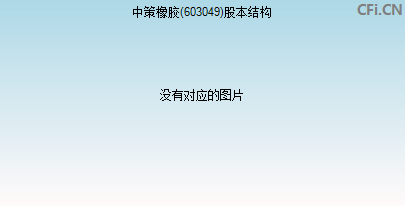 603049股本结构图