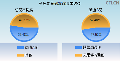 603863股本结构图