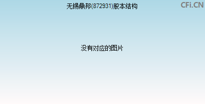 872931股本结构图