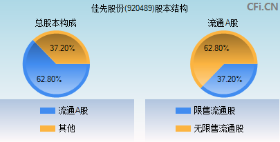 920489股本结构图