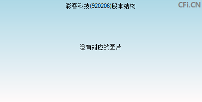 920206股本结构图 920206股本结构图