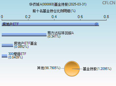 000069基金持仓图