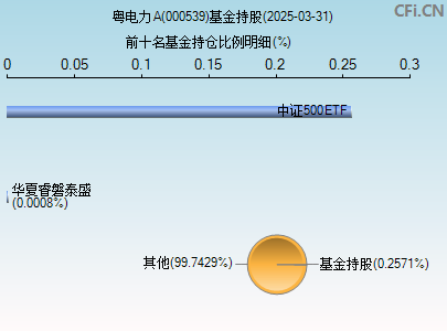 000539基金持仓图