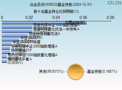 000633基金持仓图