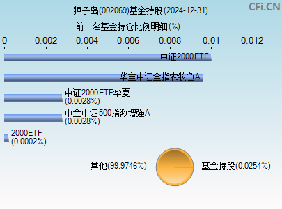 002069基金持仓图