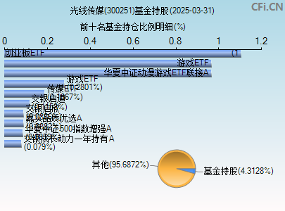 300251基金持仓图