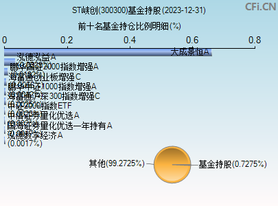 300300基金持仓图