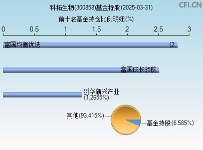 300858基金持仓图