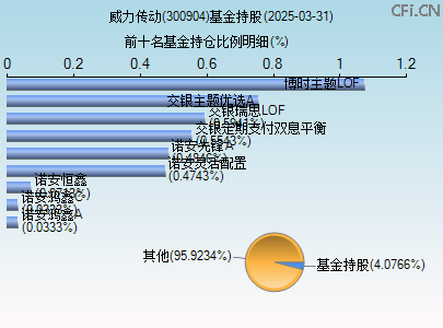 300904基金持仓图