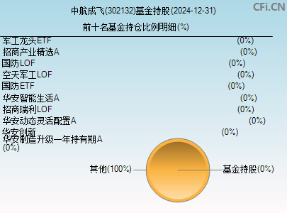 302132基金持仓图