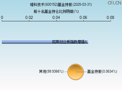 600152基金持仓图