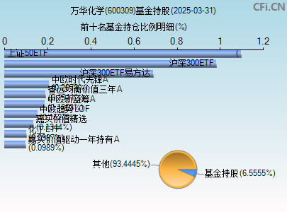 600309基金持仓图