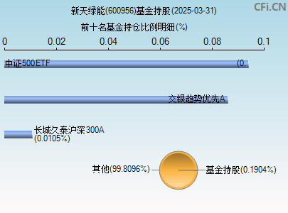 600956基金持仓图