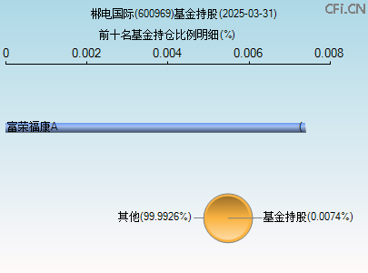 600969基金持仓图