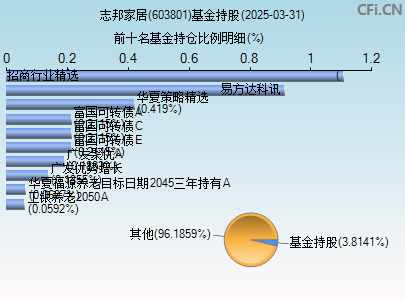 603801基金持仓图