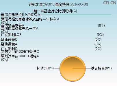 920019基金持仓图
